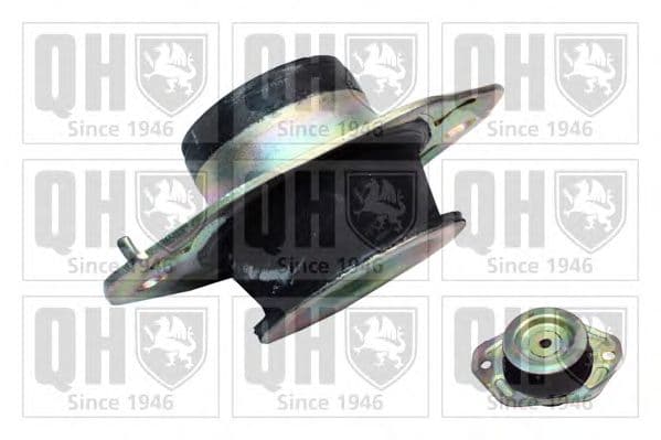 EM4605 Quinton Hazell Подушка двигуна