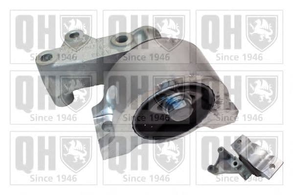 EM4389 Quinton Hazell Подушка двигуна