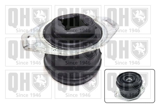 em4878 Quinton Hazell Подушка двигателя