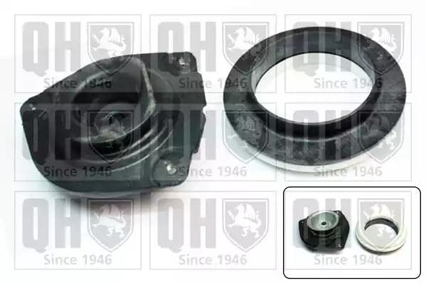 ema4959 Quinton Hazell Комплект (опора + підшипник) для Renault Koleos