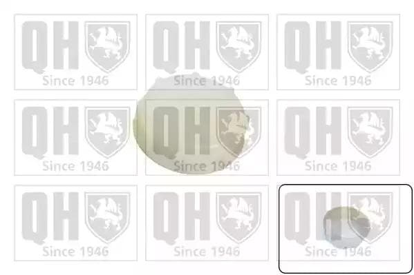 fc548 Quinton Hazell Кришка бачка охолоджувальної рідини