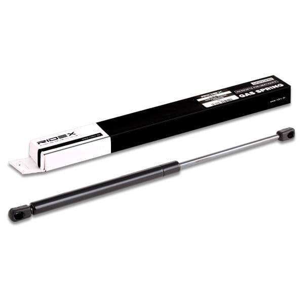 219g0194 RIDEX Газовий упор багажника