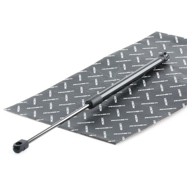 219g0938 RIDEX Газовий упор багажника