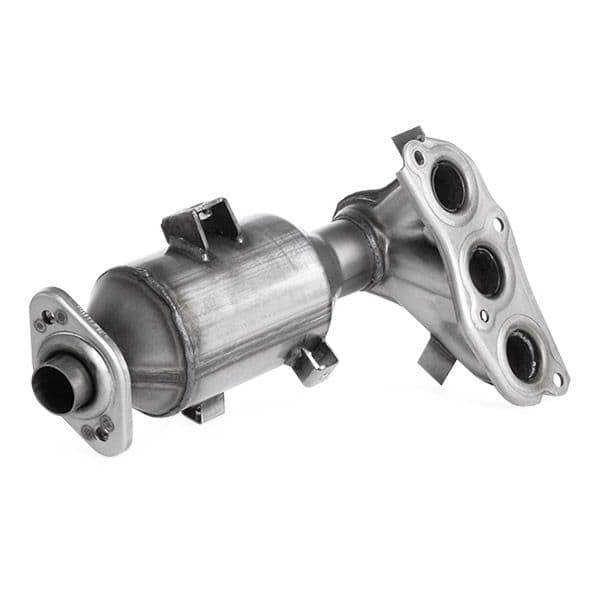 429c0013 RIDEX Каталізатор