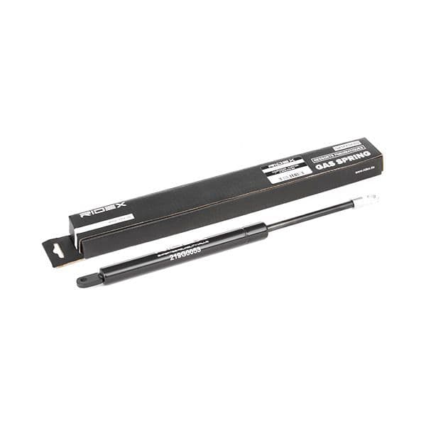219g0053 RIDEX Газовий упор багажника