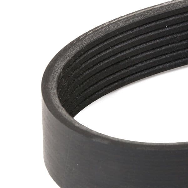 305p0289 RIDEX Поликлиновой ремень