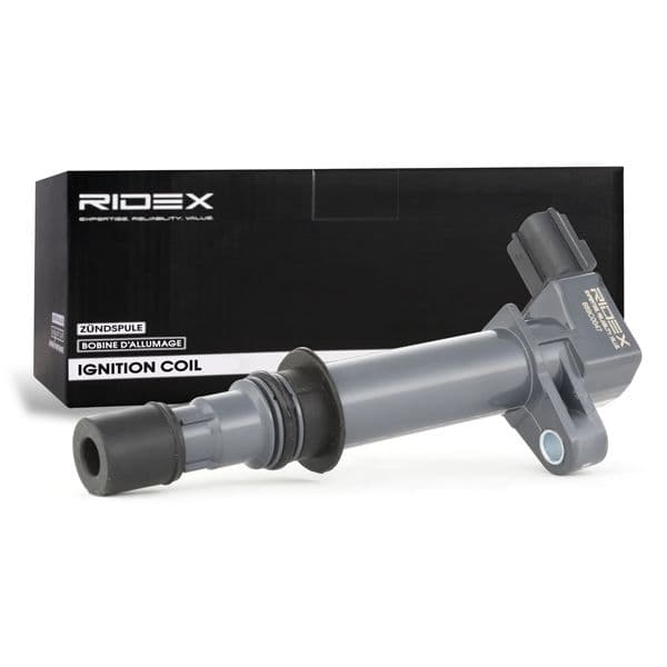 689c0047 RIDEX Катушка зажигания