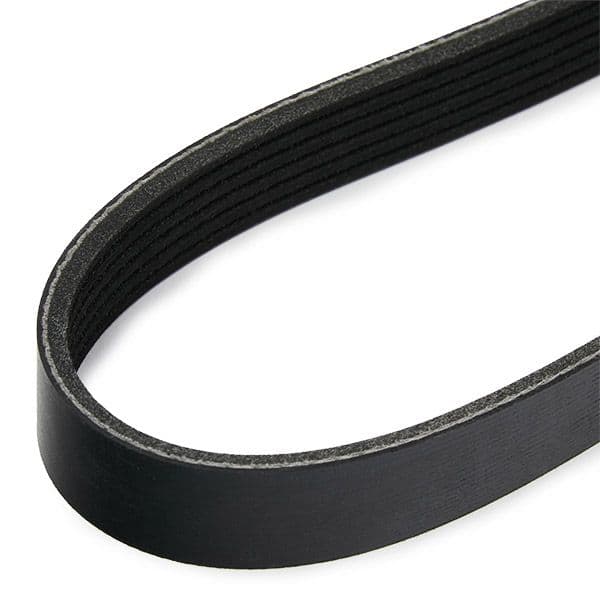 305p0614 RIDEX Поліклиновий ремінь