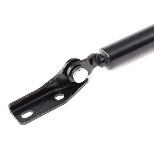 219g0573 RIDEX Газовий упор багажника для Suzuki Baleno