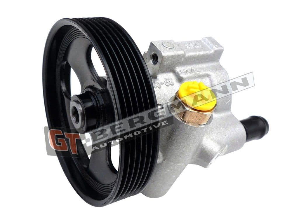 gt32005 GT-Bergmann Насос ГПК