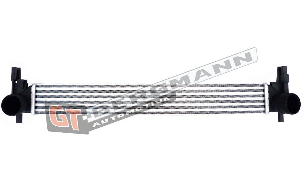 gt12023 GT-Bergmann Інтеркулер