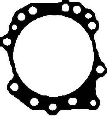 61-33980-10 Reinz Прокладка ГБЦ