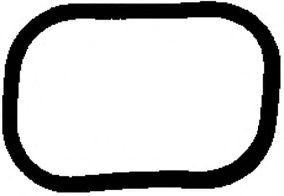 71-53963-00 Reinz Прокладка впускного коллектора