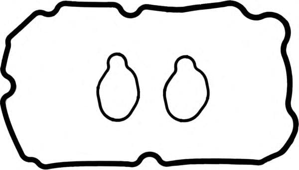 15-53999-01 Reinz Комплект прокладок клапанної кришки