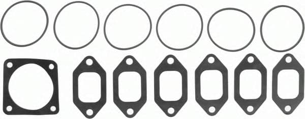 11-24361-03 Reinz Комплект прокладок впускной + выпускной коллектор