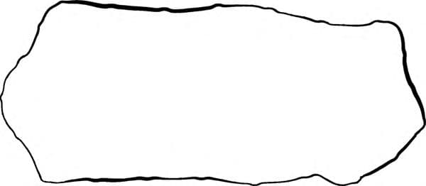 71-33971-00 Reinz Прокладка клапанной крышки