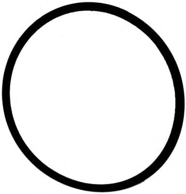 71-37631-00 Reinz Прокладка впускного колектора