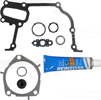 081000301 Reinz Комплект прокладок блока двигуна