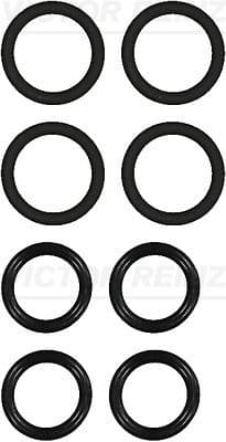 111102201 Reinz Комплект прокладок впускного коллектора