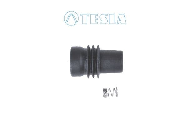 CP076 Tesla Вилка свічки розжарювання