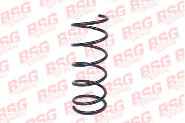 BSG 30-305-019 BSG Пружина підвіски для Ford Focus