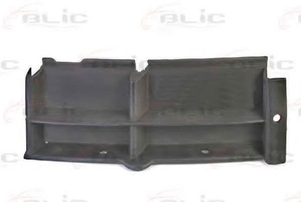 6502-07-0065995P BLIC Вентиляційна решітка бампера