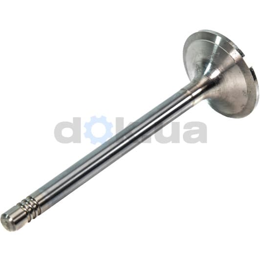 R4631/RCR Freccia Впускной клапан