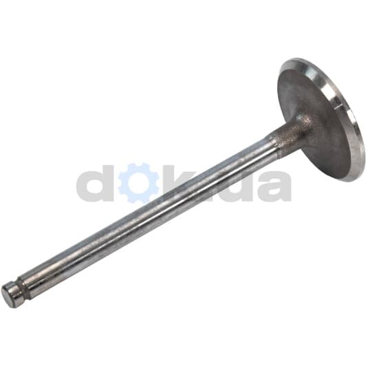 R4636/SCR Freccia Впускной клапан