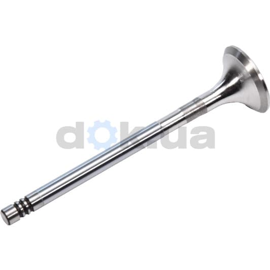 V95136 AE Выпускной клапан