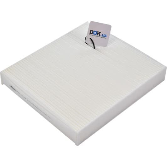 RD61J6WP9230 Rider Фильтр салона