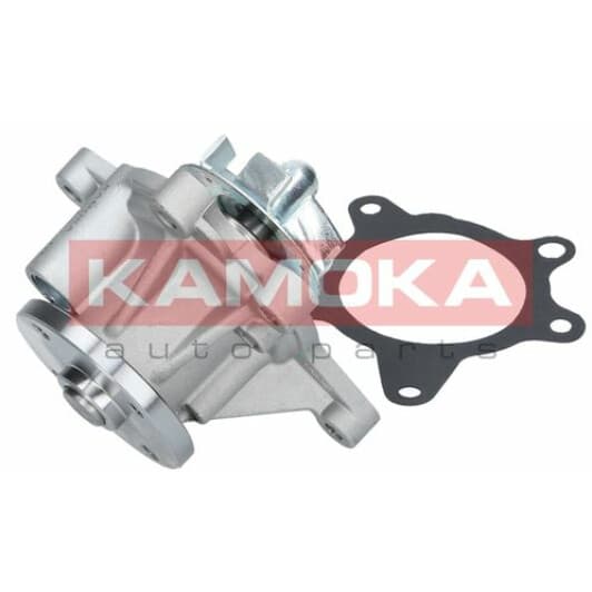 t0163 Kamoka Помпа