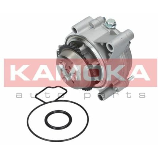 T0007 Kamoka Помпа