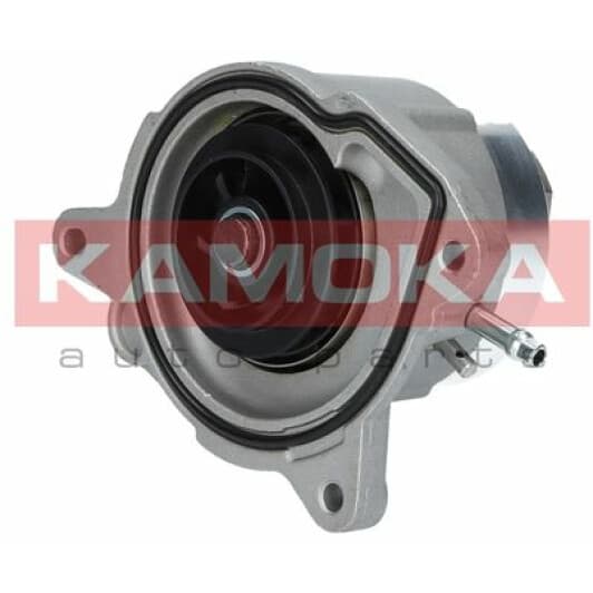 T0019 Kamoka Помпа