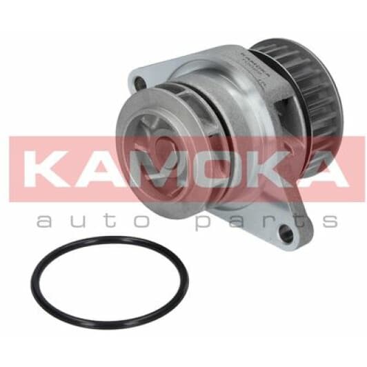 T0026 Kamoka Помпа