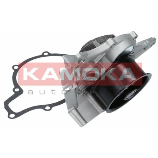 T0039 Kamoka Помпа