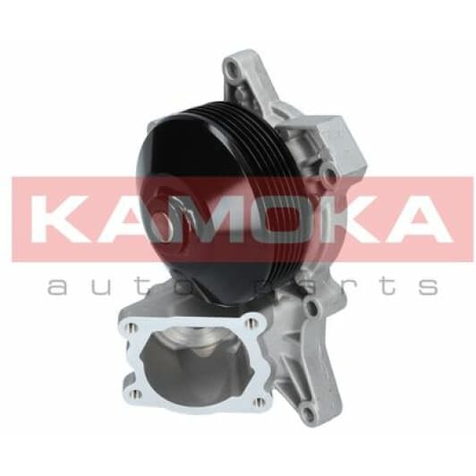 T0048 Kamoka Помпа