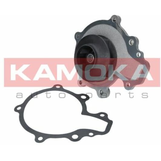 T0068 Kamoka Помпа