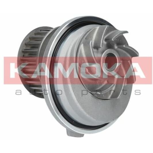 T0069 Kamoka Помпа