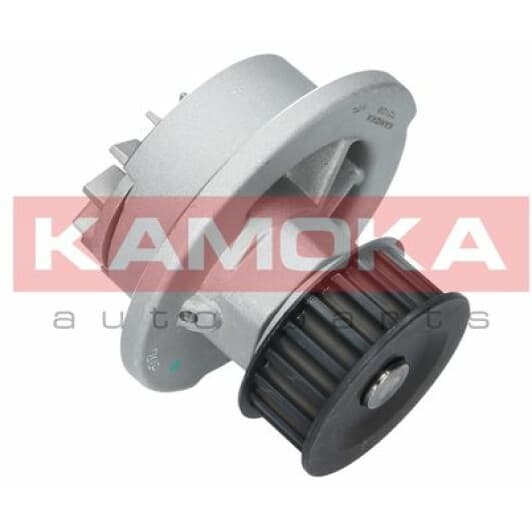 T0108 Kamoka Помпа