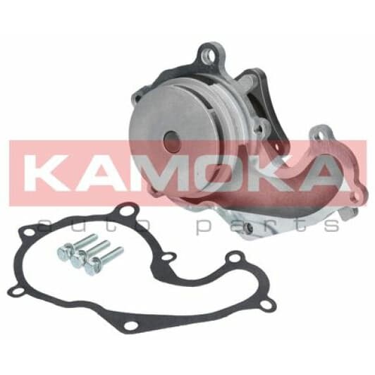 T0128 Kamoka Помпа