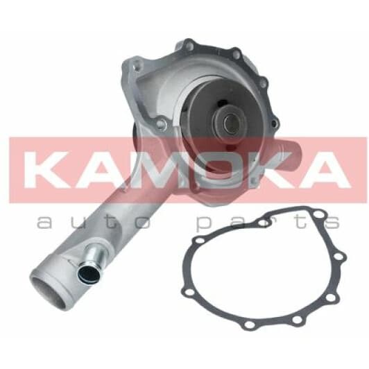 T0187 Kamoka Помпа