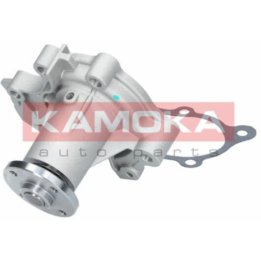 T0208 Kamoka Помпа