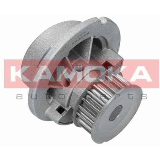 T0231 Kamoka Помпа
