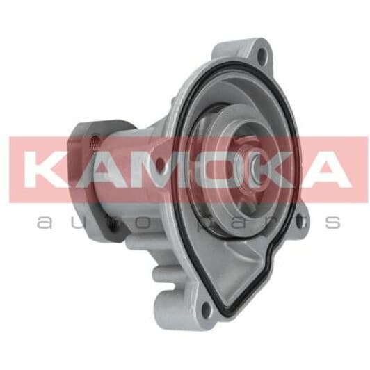 T0272 Kamoka Помпа