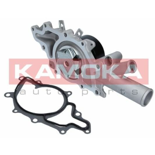 T0190 Kamoka Помпа