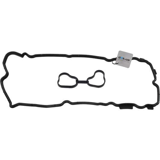15-53709-01 Reinz Комплект прокладок клапанної кришки