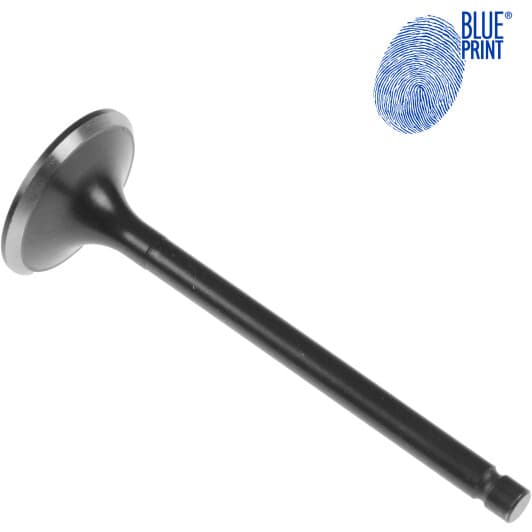 ADU176102 Blue Print Впускной клапан