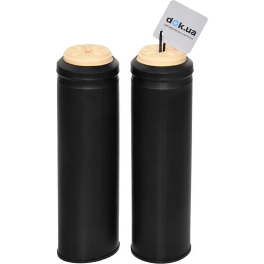 rk00332 RAISO Комплект (пильники + відбійники)