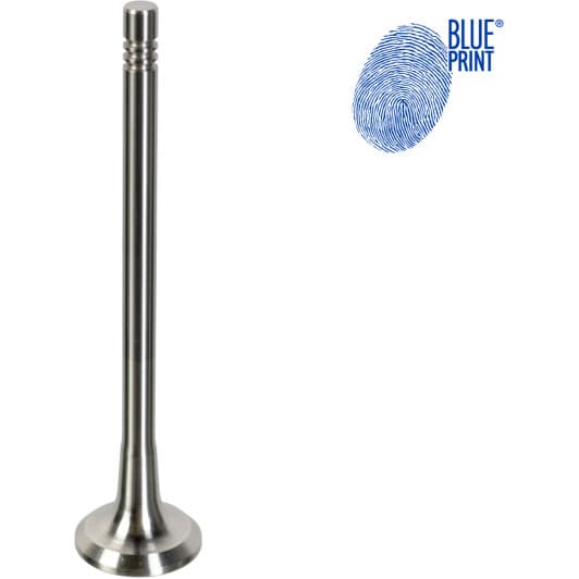 adbp610134 Blue Print Выпускной клапан