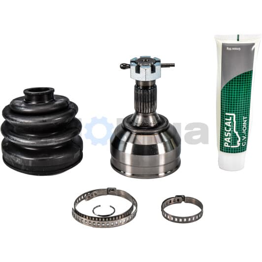 G1P004PC Pascal ШРУС